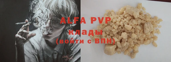 индика Белоозёрский