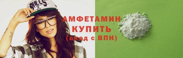 сатива Беломорск