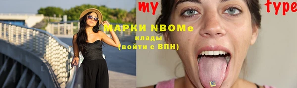 сатива Беломорск