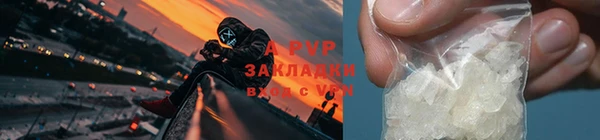 индика Белоозёрский