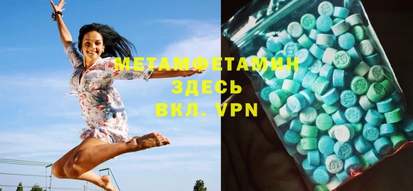 сатива Беломорск