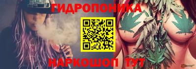 гидра Бийск