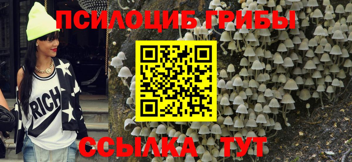 Псилоцибиновые грибы MAGIC MUSHROOMS Гай