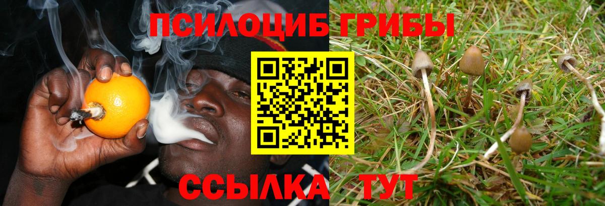 Гай  Галлюциногенные грибы прущие грибы  Вход с VPN  Псилоцибиновые грибы мухоморы 