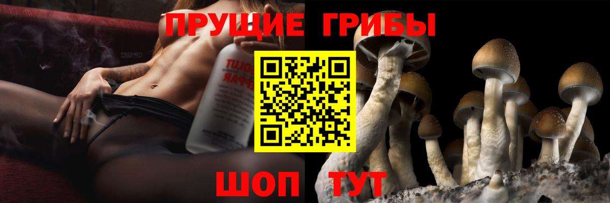 Галлюциногенные грибы прущие грибы  Гай 