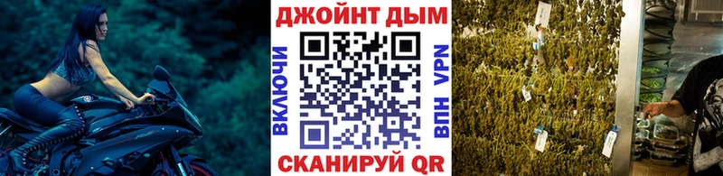 Бошки Шишки семена  закладки  Гай 